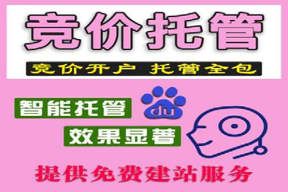充值返点在电商平台中的运营策略分析